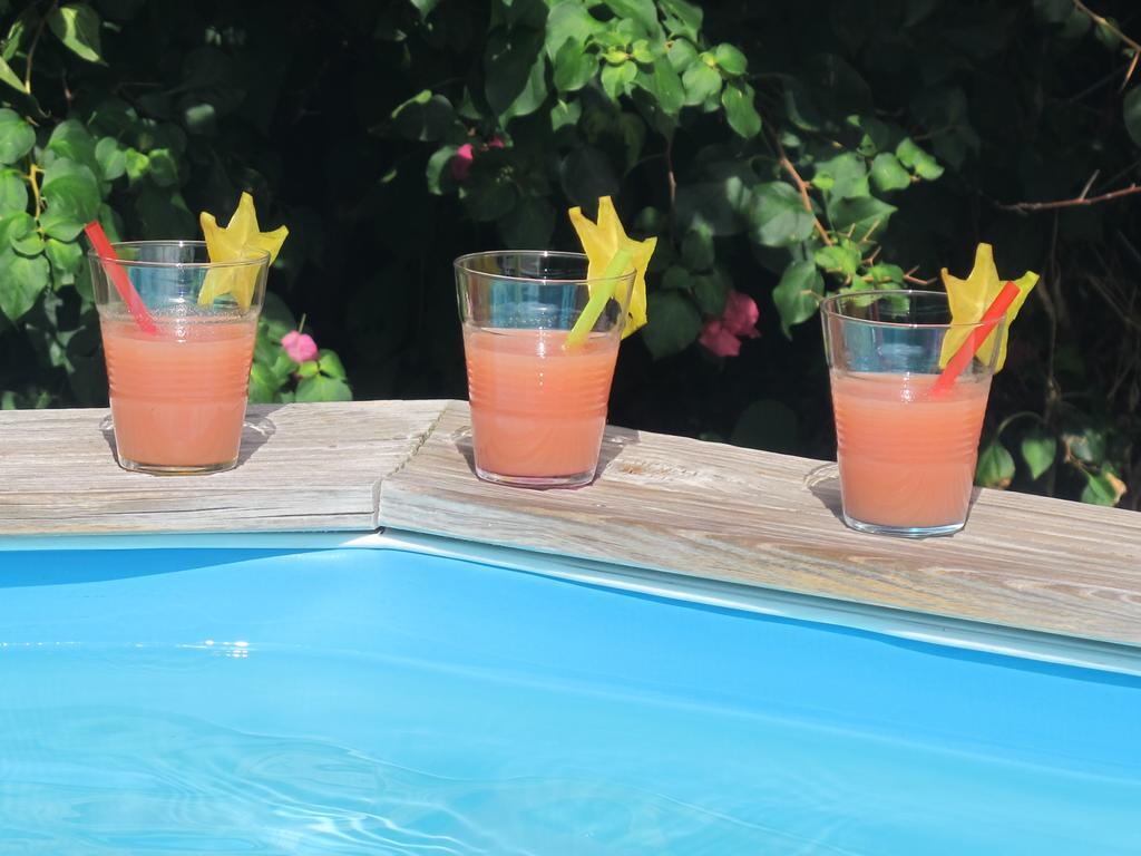 Coquette Villa Du Cap Est Le François 외부 사진
